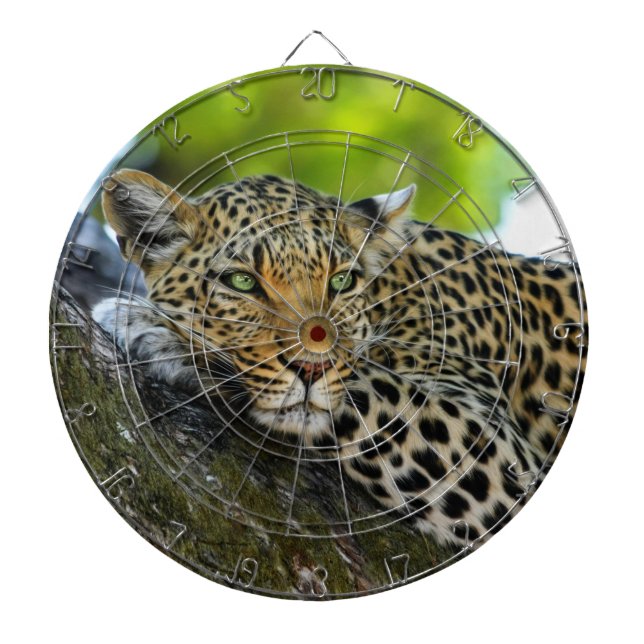 Leopard Dartboard Darttavla (Framsidan)