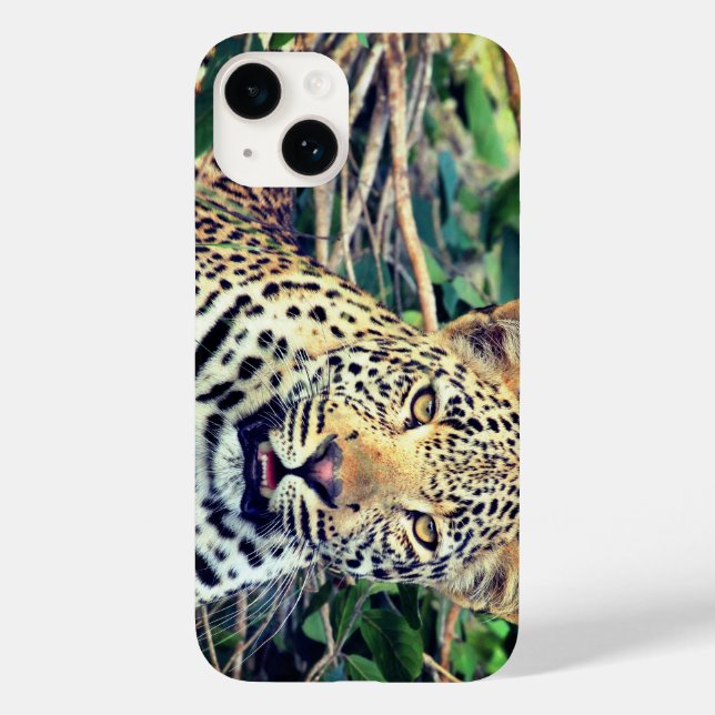 Leopard, djur (Baksida)