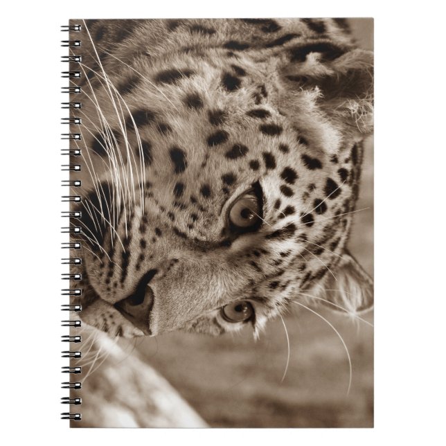 leopard, djur, safari anteckningsbok (Framsidan)