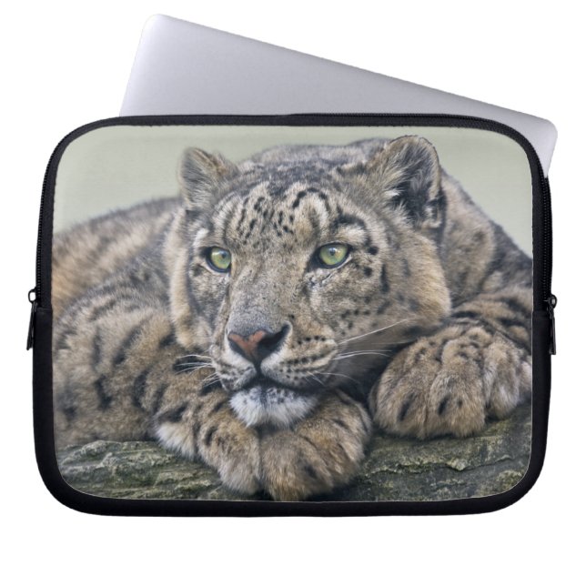 Leopard Dreaming Laptopsk sleeve (Framsidan)