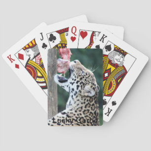Leopard Eating Spel Kort