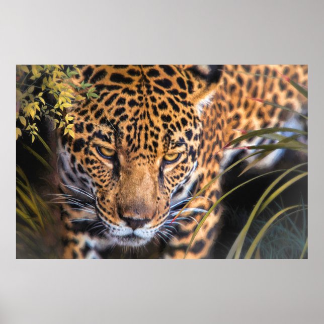 LEOPARD ENCOUNTER POSTER (Framsidan)