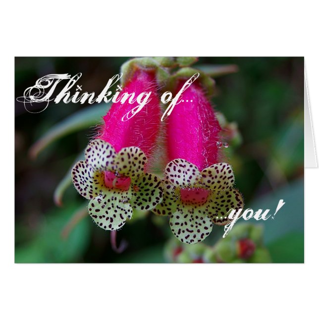 Leopard Flower Design Hälsningskort (Framsidan Horizontal)