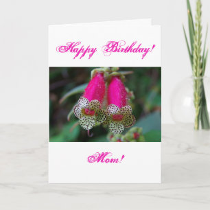 Leopard Flower Design Kort