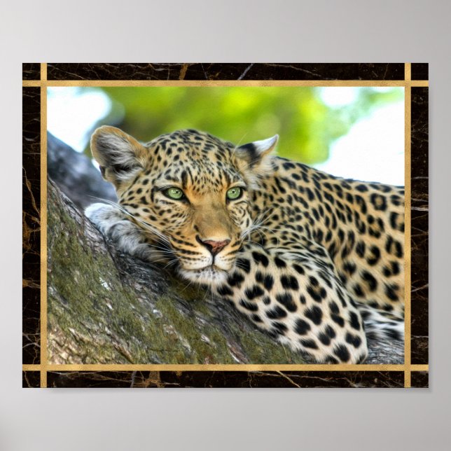 Leopard Foto Bildtryck Affisch (Framsidan)