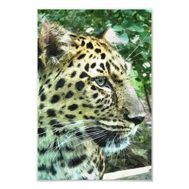 LEOPARD FOTOTRYCK (Framsidan)