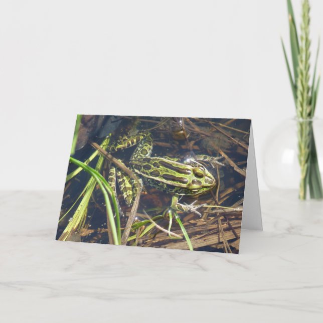 Leopard Frog Greeting Card Kort (Framsida)