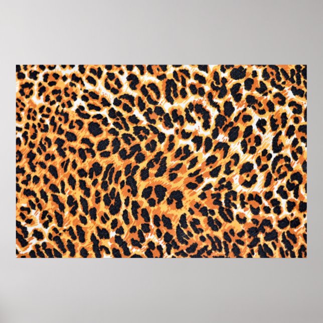 leopard fur as backgroundleopard,pattern,print,ski poster (Framsidan)