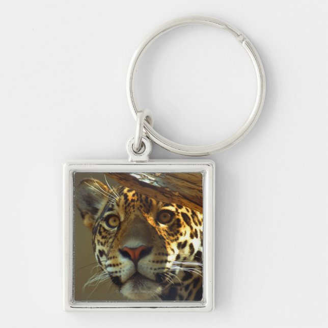 Leopard Fyrkantig Silverfärgad Nyckelring (Framsidan)