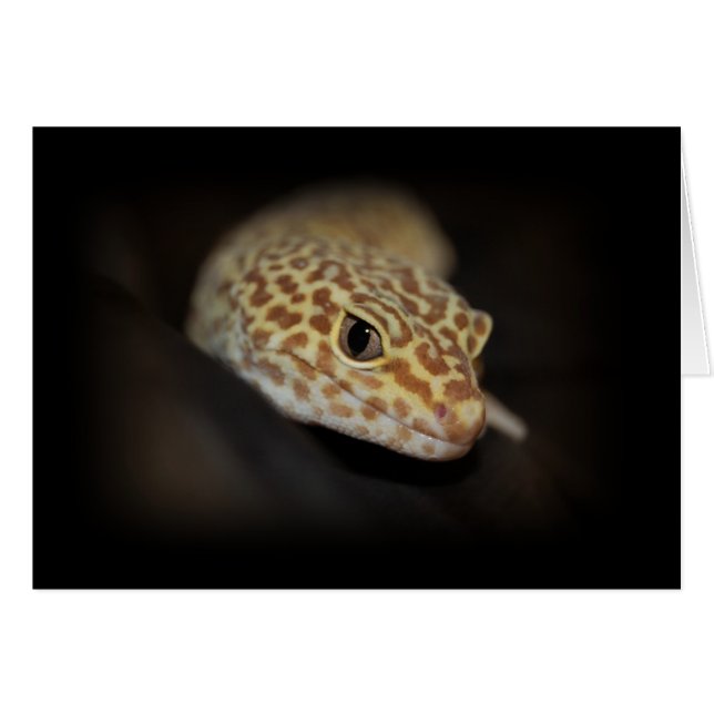 Leopard Gecko Card Hälsningskort (Framsidan Horizontal)