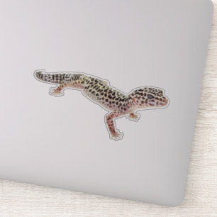 Leopard Gecko Klistermärken