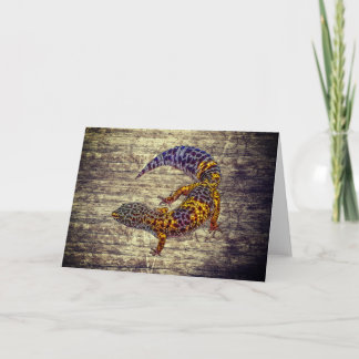 Leopard Gecko Kort