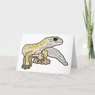 Leopard Gecko Kort