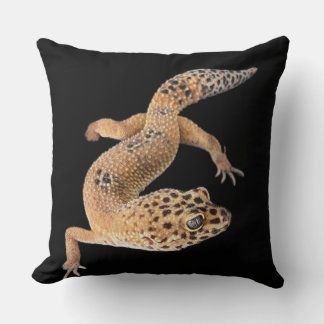 Leopard Gecko Kudde