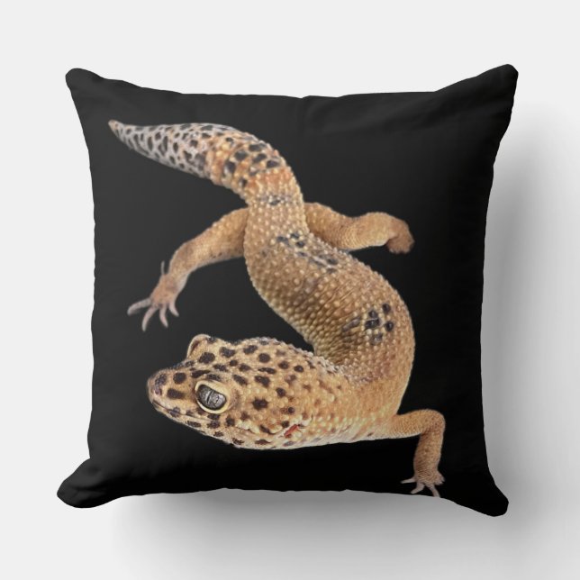  Leopard Gecko  Kudde (Framsida)