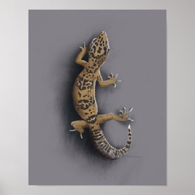 Leopard gecko lizard poster (Framsidan)