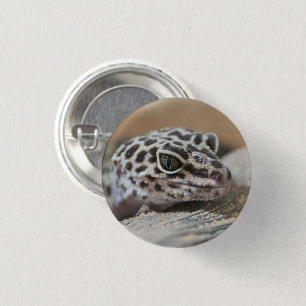 Leopard Gecko Öga Mouth Ansikte närmar sig Knapp
