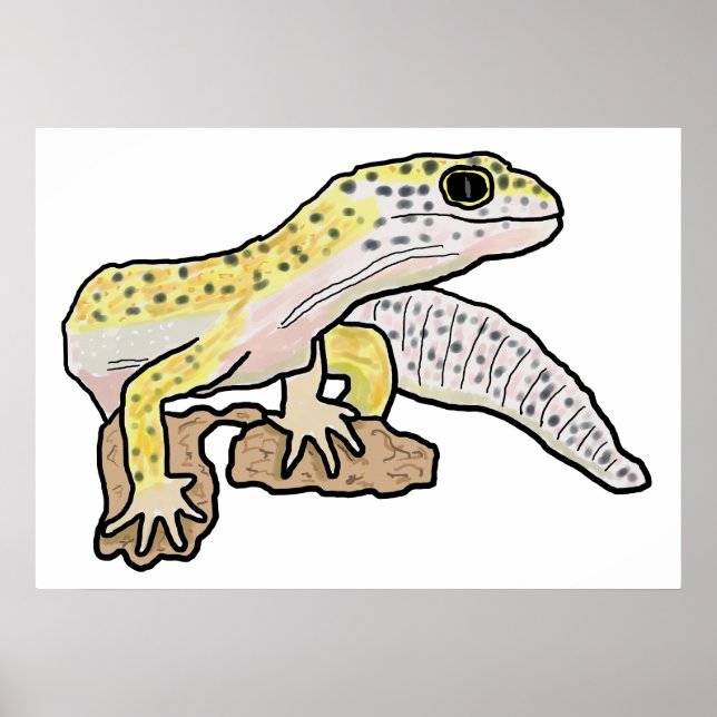 Leopard Gecko Poster (Framsidan)
