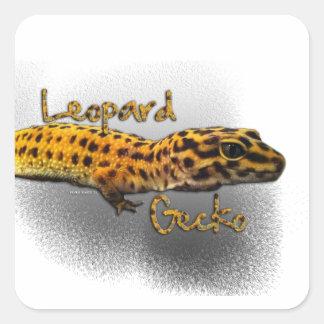 Leopard Gecko Sticker Fyrkantigt Klistermärke
