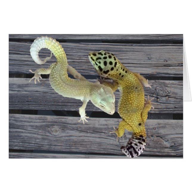Leopard Geckos - Jackande av många Färg Hälsningskort (Framsidan Horizontal)