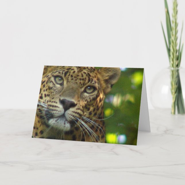 Leopard Greeting Card Kort (Framsida)
