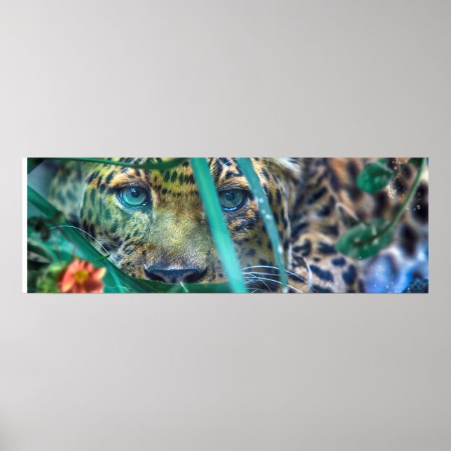 LEOPARD GRÖNA ÖGON STIRRAR POSTER (Framsidan)