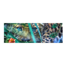 LEOPARD GRÖNT ÖGA GAZER