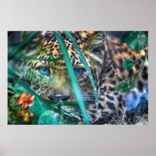 LEOPARD GRÖNT ÖGA GAZER POSTER