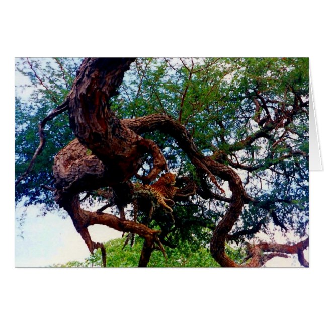 leopard hälsningskort (Framsidan Horizontal)