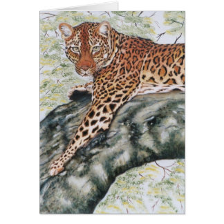 "Leopard ", Hälsningskort