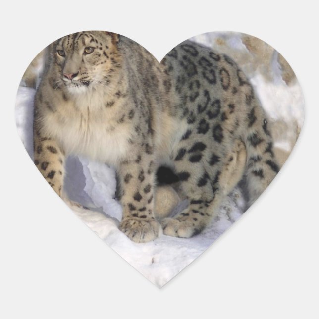 Leopard Hjärtformat Klistermärke (Framsida)
