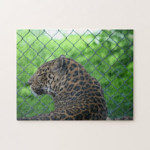 Leopard i fångenskap pussel
