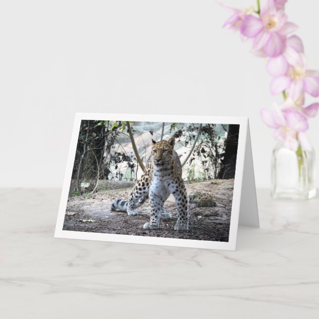 Leopard i Forest Kort (Orkide)