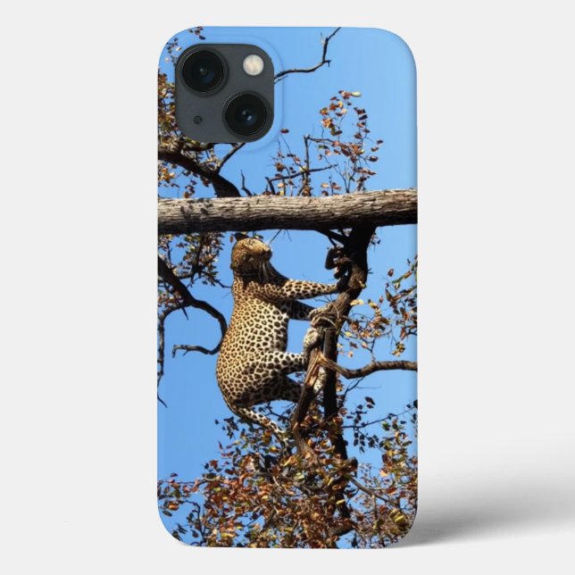 Leopard i Träd i Afrika (Baksida)
