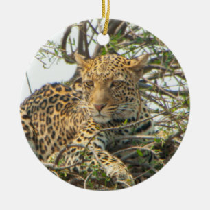 Leopard i Träd Julgransprydnad Keramik