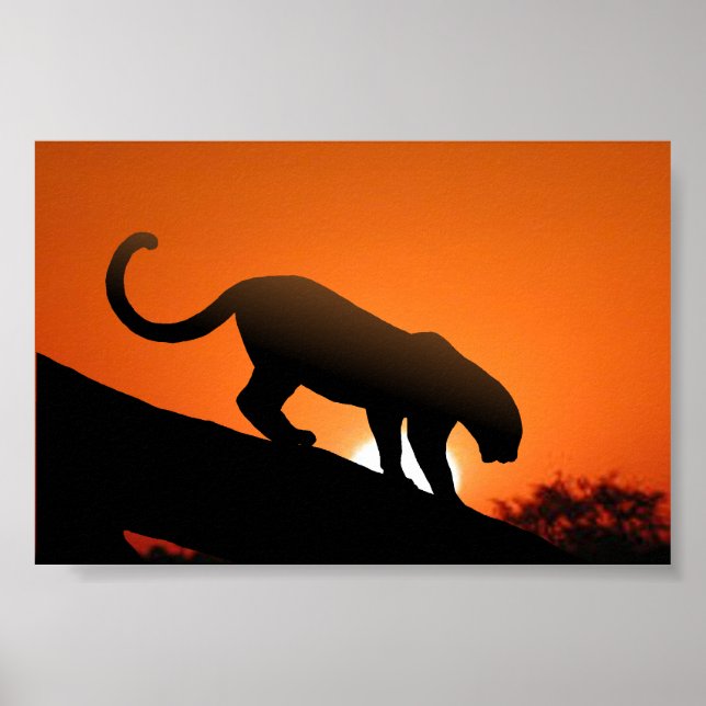 Leopard i träd poster (Framsidan)