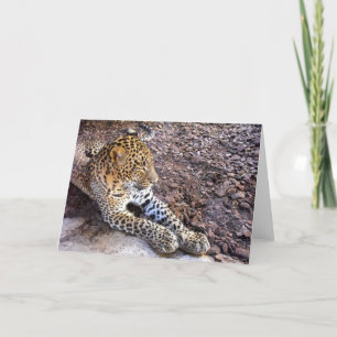 Leopard i vila helgkort