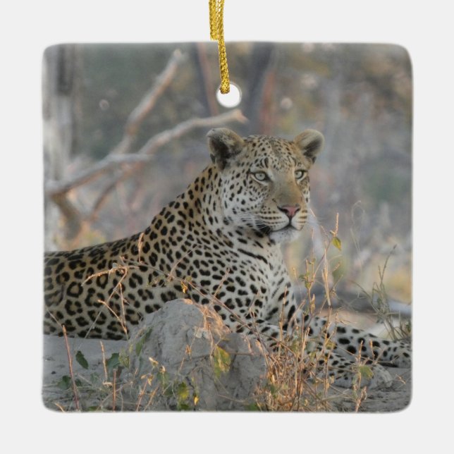 LEOPARD I VILA JULGRANSPRYDNAD KERAMIK (Framsida)