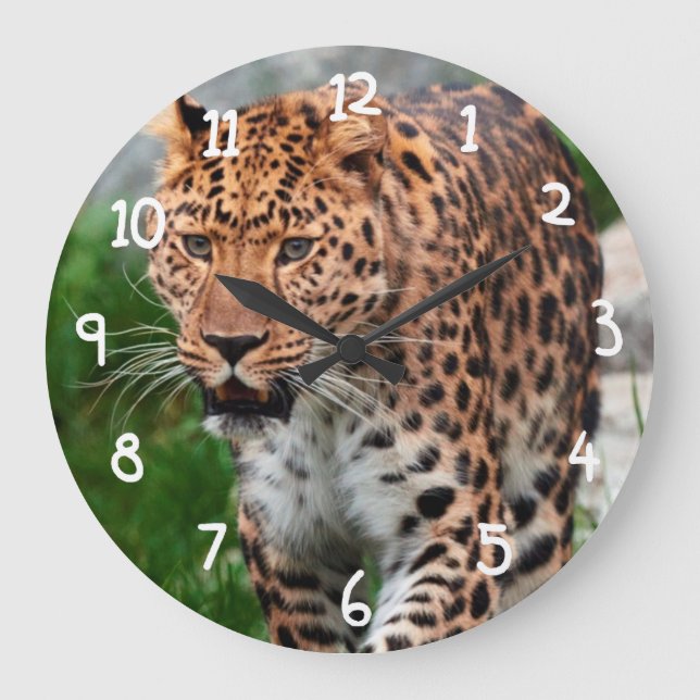 Leopard i vilden stor klocka (Framsida)