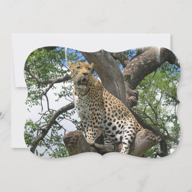 Leopard Inbjudningar (Framsida)