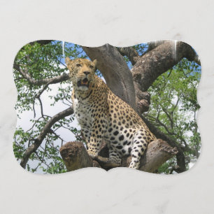 Leopard Inbjudningar