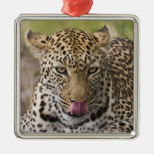 Leopard Julgransprydnad Metall