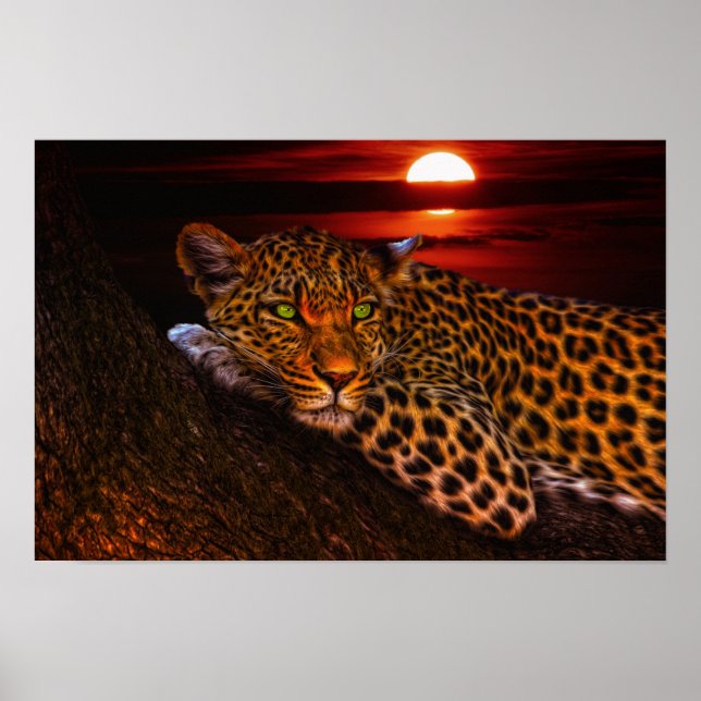 leopard kattunge poster (Framsidan)
