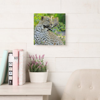 Leopard klocka
