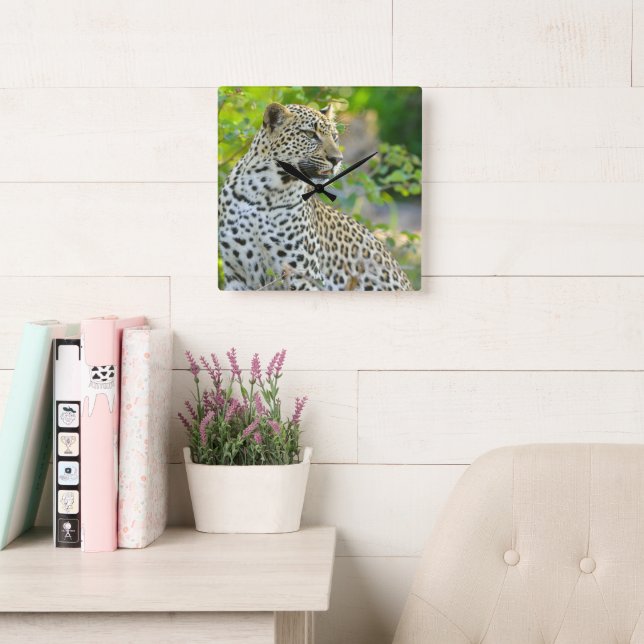 Leopard klocka  (Läsesal)