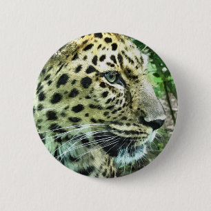 LEOPARD KNAPP