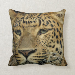 Leopard Kudde