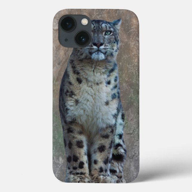 Leopard Lookout iPad-fodral (Baksida)