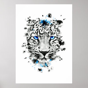 Leopard med blåttögon poster
