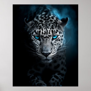 Leopard med Blue Ögon Poster